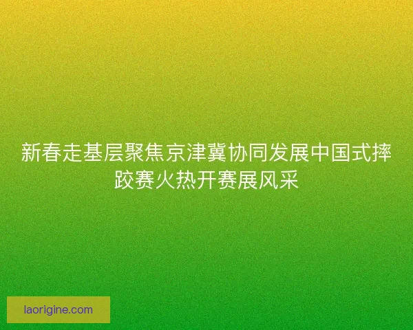 新春走基层聚焦京津冀协同发展中国式摔跤赛火热开赛展风采